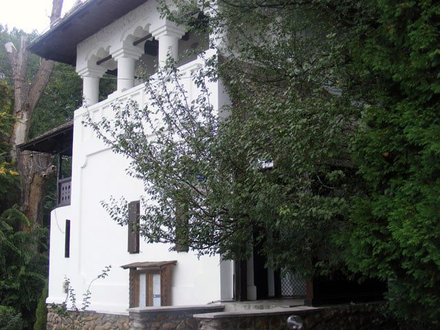 Centrul municipal Constantin Brancusi