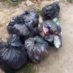 40 de tone de gunoi, după Zilele Oraşului Rovinari