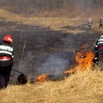 Incendii de vegetaţie uscată şi fond forestier în 11 judeţe din ţară