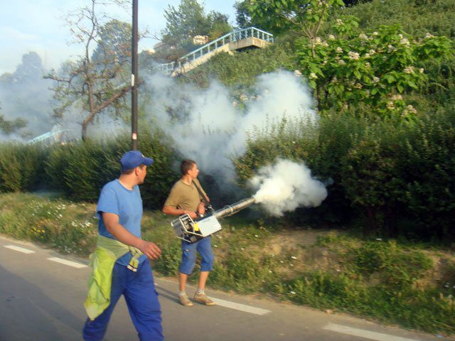Luptă continuă cu ţânţarii şi căpuşele din municipiu