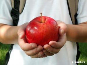 fructe in scoli