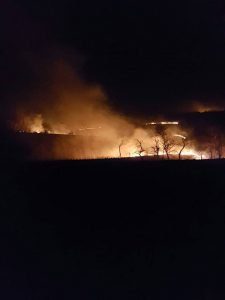 foc balanesti