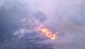 foc balanesti2