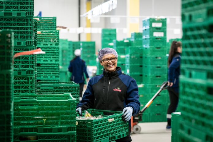 Afacerile Eisberg România s-au majorat cu 7% în 2025